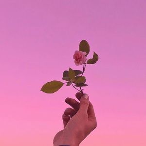 Meet your Posher, Cesar